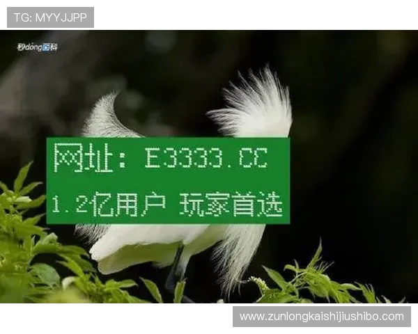 凯时娱乐网址安全可靠的登录指南与最新优惠活动推荐