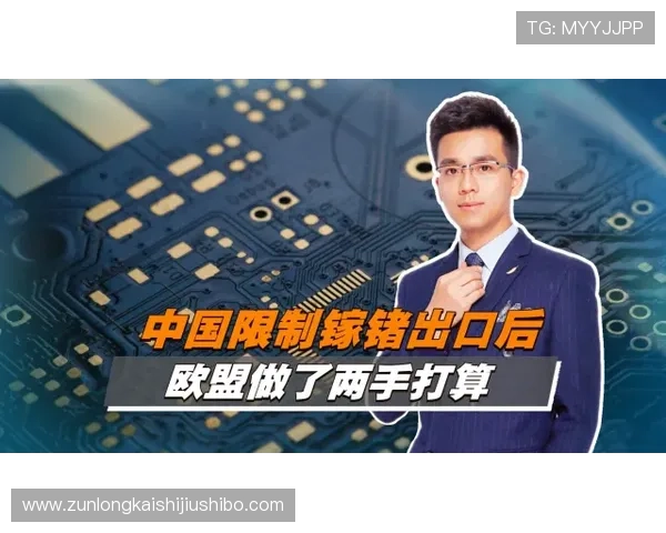 z6尊龙中国集团官方网站的合作伙伴与行业联盟关系详解 z6尊龙中国集团官方网站的合作伙伴与行业联盟关系详解